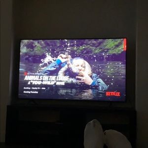 Meet your Posher, Tanner